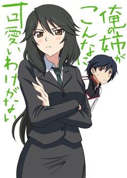 Infinite Stratos Doujinshi- My Older Sister Can Be This Overprotective